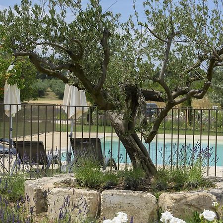 Domaine Du Mas Foucray Lejlighedshotel Les Baux-de-Provence Eksteriør billede